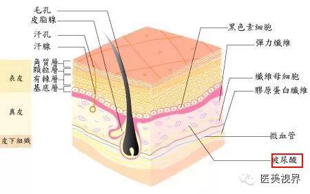 玻尿酸